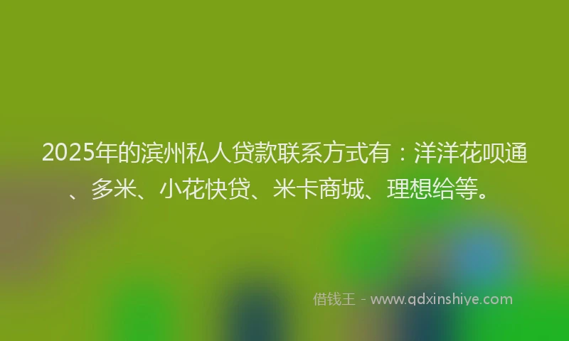 2025年的滨州私人贷款联系方式有：洋洋花呗通、多米、小花快贷、米卡商城、理想给等。