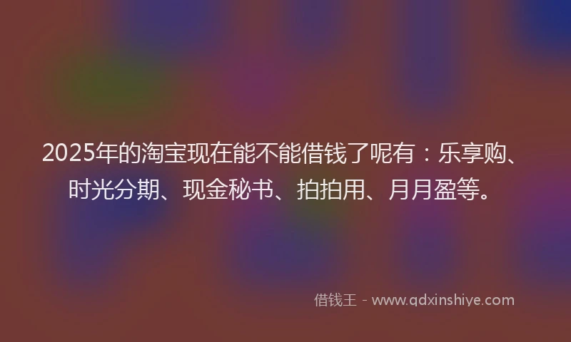 2025年的淘宝现在能不能借钱了呢有：乐享购、时光分期、现金秘书、拍拍用、月月盈等。