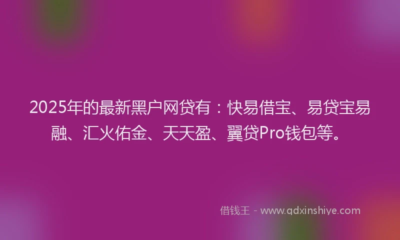 2025年的最新黑户网贷有：快易借宝、易贷宝易融、汇火佑金、天天盈、翼贷Pro钱包等。
