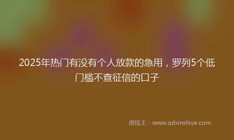 2025年热门有没有个人放款的急用，罗列5个低门槛不查征信的口子