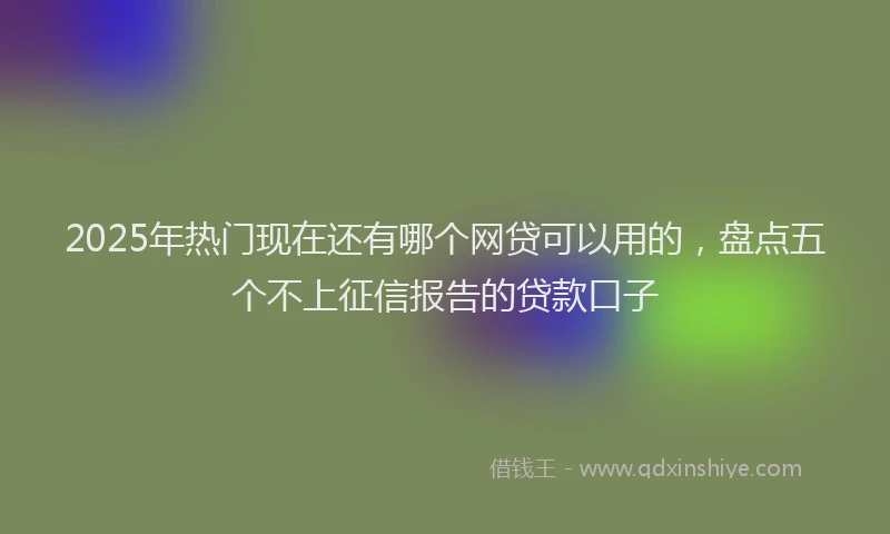 2025年热门现在还有哪个网贷可以用的，盘点五个不上征信报告的贷款口子