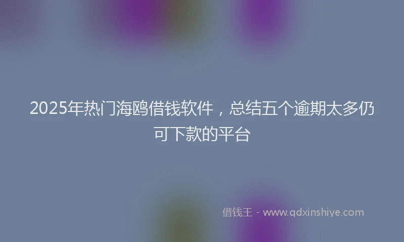 2025年热门海鸥借钱软件，总结五个逾期太多仍可下款的平台