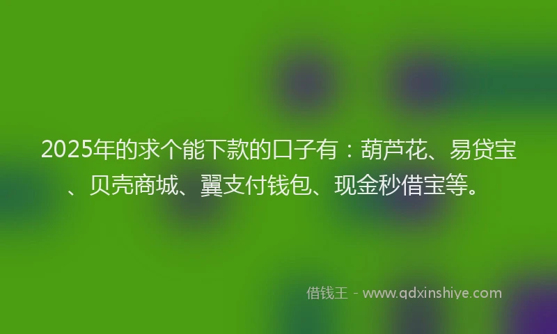 2025年的求个能下款的口子有：葫芦花、易贷宝、贝壳商城、翼支付钱包、现金秒借宝等。