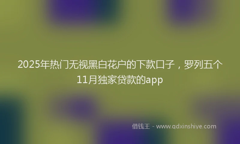 2025年热门无视黑白花户的下款口子，罗列五个11月独家贷款的app