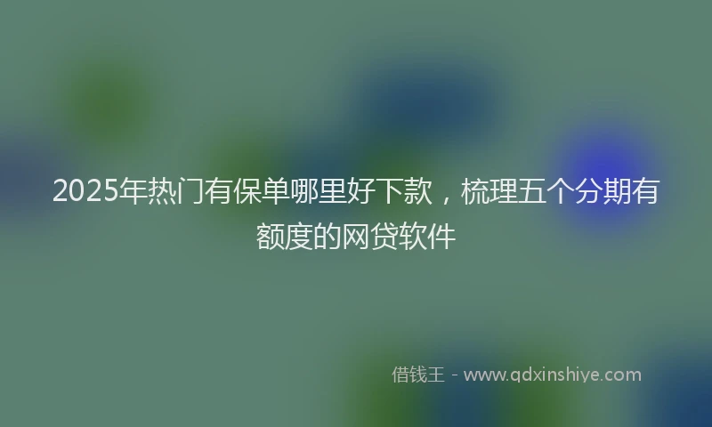 2025年热门有保单哪里好下款，梳理五个分期有额度的网贷软件