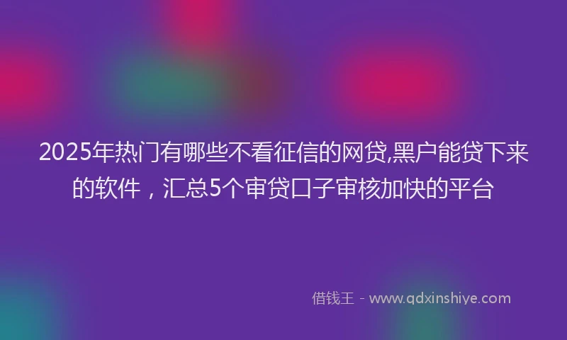 2025年热门有哪些不看征信的网贷,黑户能贷下来的软件，汇总5个审贷口子审核加快的平台
