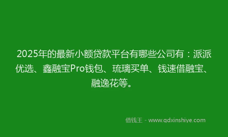 2025年的最新小额贷款平台有哪些公司有：派派优选、鑫融宝Pro钱包、琉璃买单、钱速借融宝、融逸花等。