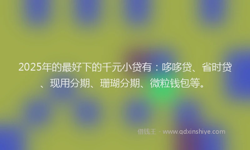 2025年的最好下的千元小贷有：哆哆贷、省时贷、现用分期、珊瑚分期、微粒钱包等。