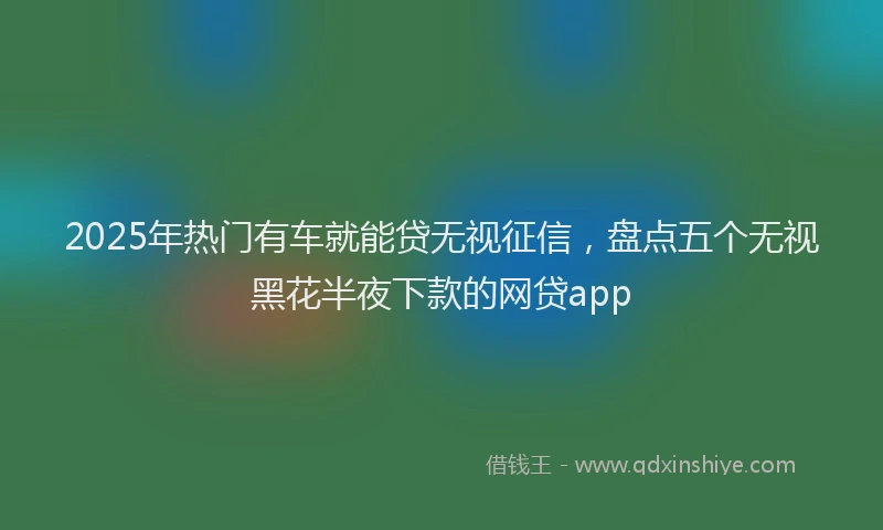 2025年热门有车就能贷无视征信，盘点五个无视黑花半夜下款的网贷app