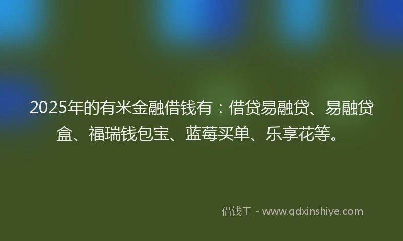 2025年的有米金融借钱有：借贷易融贷、易融贷盒、福瑞钱包宝、蓝莓买单、乐享花等。