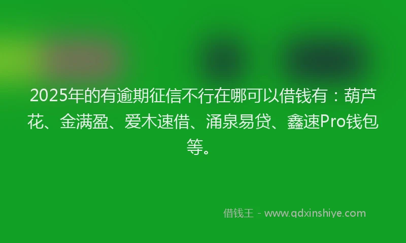 2025年的有逾期征信不行在哪可以借钱有：葫芦花、金满盈、爱木速借、涌泉易贷、鑫速Pro钱包等。