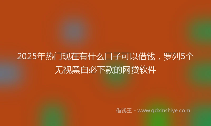 2025年热门现在有什么口子可以借钱，罗列5个无视黑白必下款的网贷软件