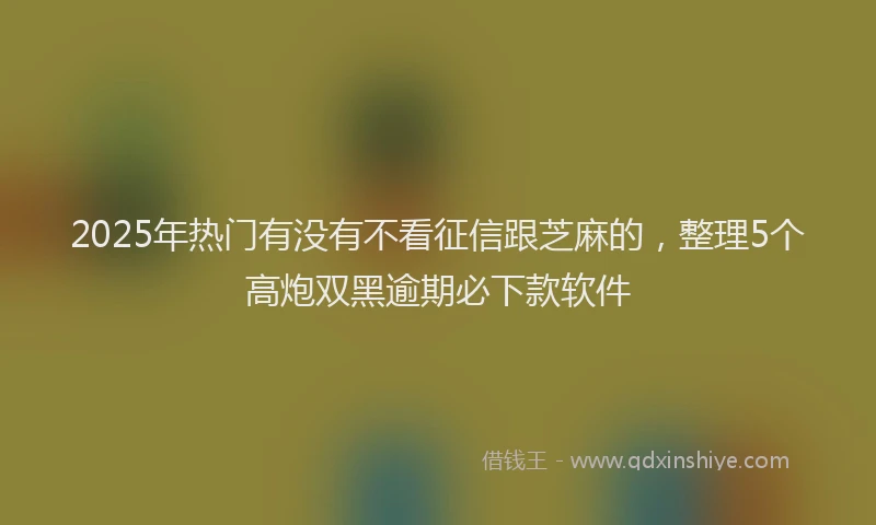2025年热门有没有不看征信跟芝麻的，整理5个高炮双黑逾期必下款软件