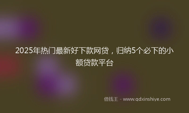 2025年热门最新好下款网贷，归纳5个必下的小额贷款平台