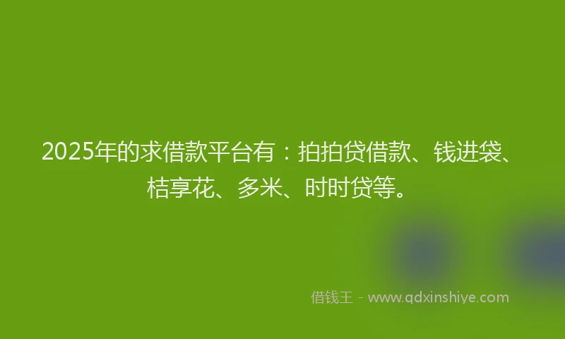 2025年的求借款平台有：拍拍贷借款、钱进袋、桔享花、多米、时时贷等。