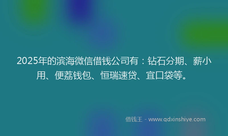 2025年的滨海微信借钱公司有：钻石分期、薪小用、便荔钱包、恒瑞速贷、宜口袋等。