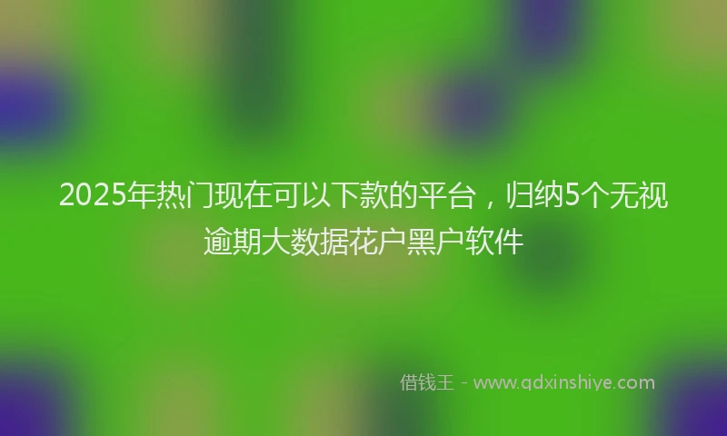 2025年热门现在可以下款的平台，归纳5个无视逾期大数据花户黑户软件