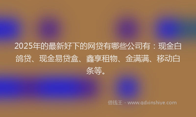 2025年的最新好下的网贷有哪些公司有：现金白鸽贷、现金易贷盒、鑫享租物、金满满、移动白条等。
