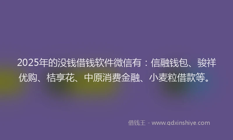 2025年的没钱借钱软件微信有：信融钱包、骏祥优购、桔享花、中原消费金融、小麦粒借款等。