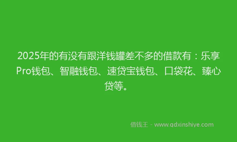 2025年的有没有跟洋钱罐差不多的借款有：乐享Pro钱包、智融钱包、速贷宝钱包、口袋花、臻心贷等。