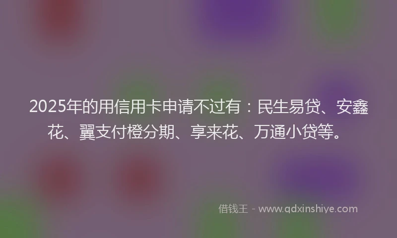 2025年的用信用卡申请不过有：民生易贷、安鑫花、翼支付橙分期、享来花、万通小贷等。