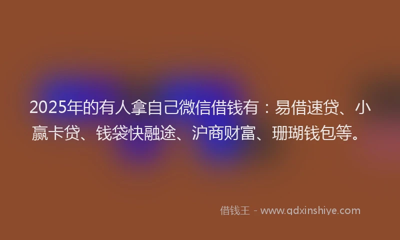 2025年的有人拿自己微信借钱有：易借速贷、小赢卡贷、钱袋快融途、沪商财富、珊瑚钱包等。