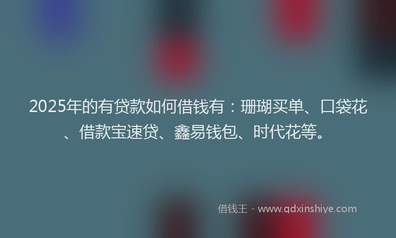 2025年的有贷款如何借钱有：珊瑚买单、口袋花、借款宝速贷、鑫易钱包、时代花等。