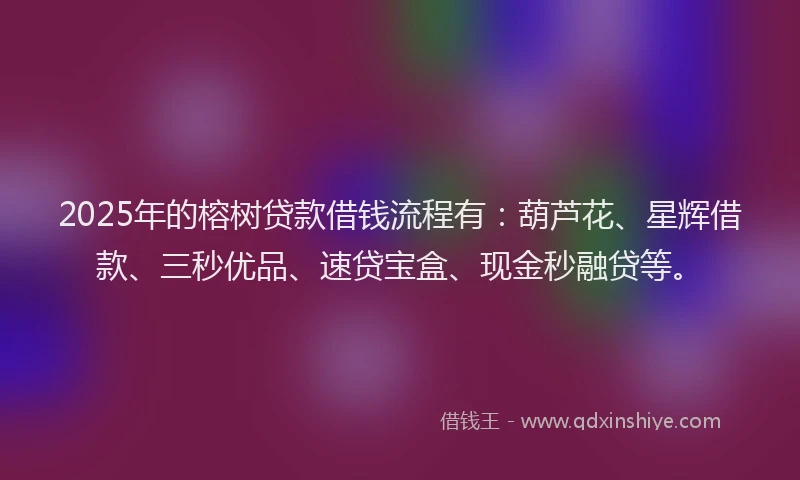 2025年的榕树贷款借钱流程有：葫芦花、星辉借款、三秒优品、速贷宝盒、现金秒融贷等。