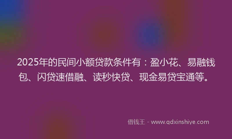 2025年的民间小额贷款条件有：盈小花、易融钱包、闪贷速借融、读秒快贷、现金易贷宝通等。
