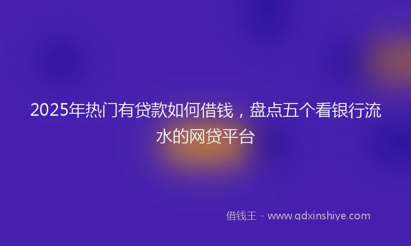 2025年热门有贷款如何借钱，盘点五个看银行流水的网贷平台