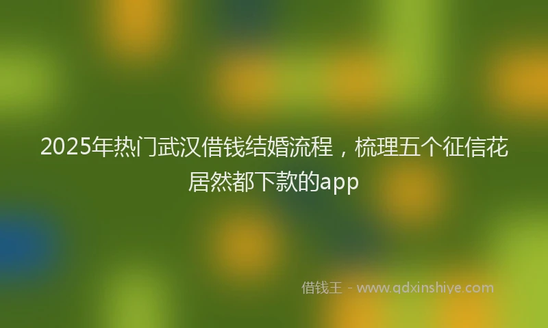 2025年热门武汉借钱结婚流程，梳理五个征信花居然都下款的app