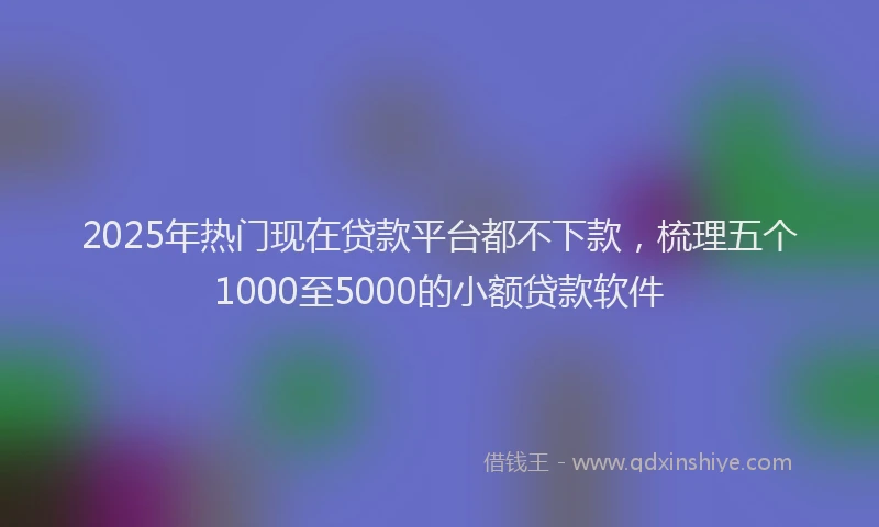 2025年热门现在贷款平台都不下款，梳理五个1000至5000的小额贷款软件