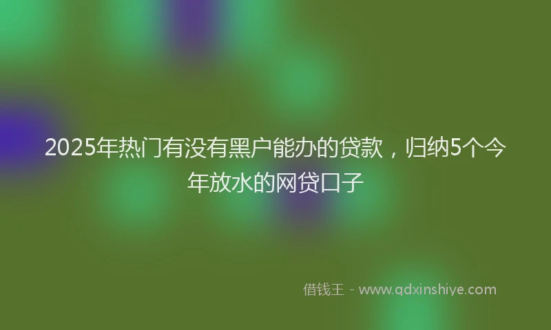 2025年热门有没有黑户能办的贷款，归纳5个今年放水的网贷口子