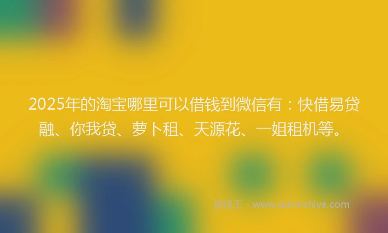 2025年的淘宝哪里可以借钱到微信有：快借易贷融、你我贷、萝卜租、天源花、一姐租机等。