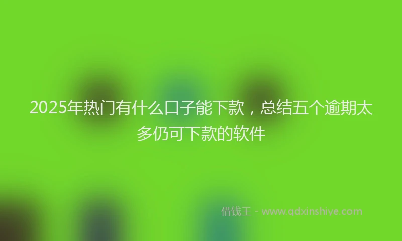 2025年热门有什么口子能下款，总结五个逾期太多仍可下款的软件
