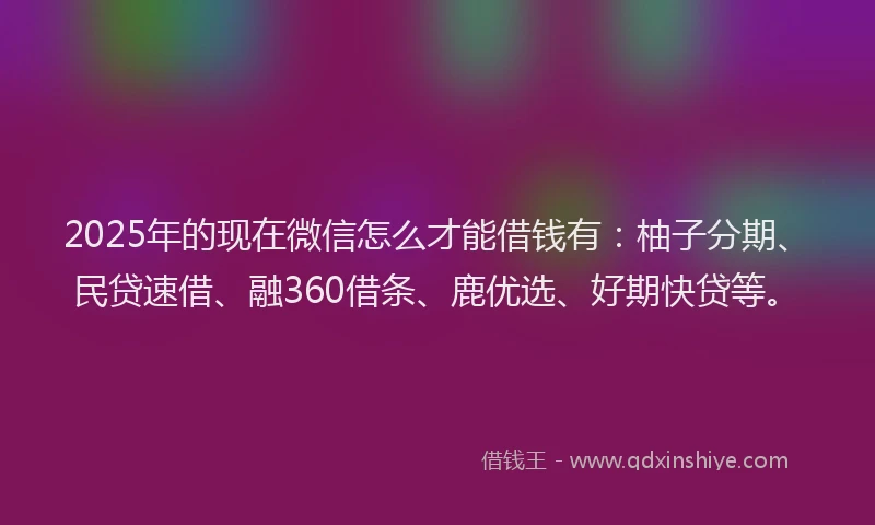 2025年的现在微信怎么才能借钱有：柚子分期、民贷速借、融360借条、鹿优选、好期快贷等。