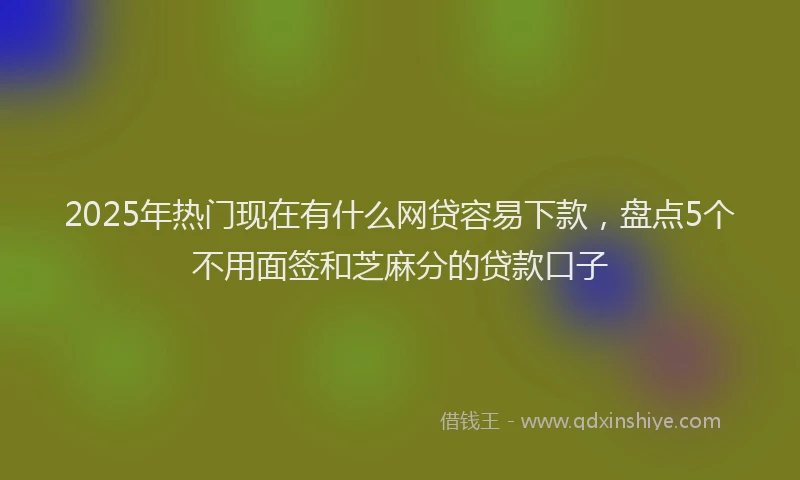 2025年热门现在有什么网贷容易下款，盘点5个不用面签和芝麻分的贷款口子