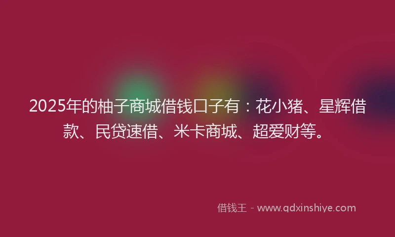 2025年的柚子商城借钱口子有：花小猪、星辉借款、民贷速借、米卡商城、超爱财等。