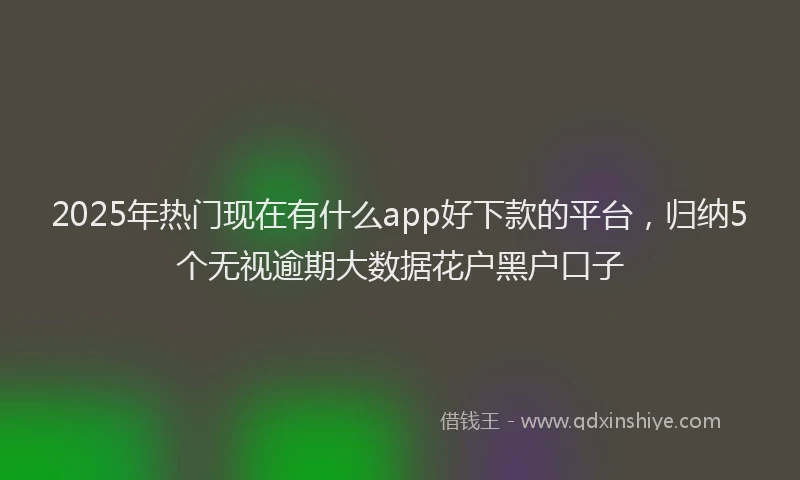 2025年热门现在有什么app好下款的平台，归纳5个无视逾期大数据花户黑户口子