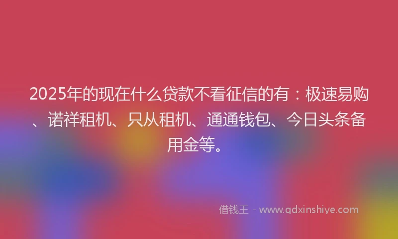 2025年的现在什么贷款不看征信的有：极速易购、诺祥租机、只从租机、通通钱包、今日头条备用金等。