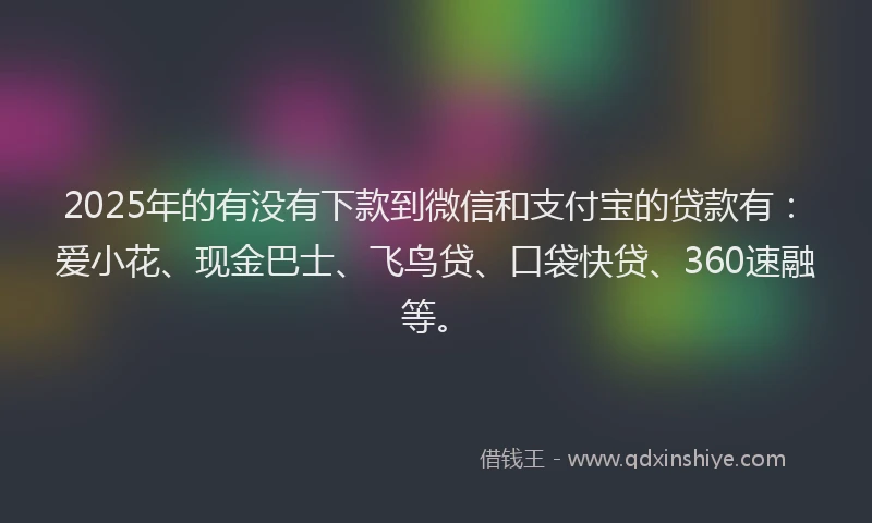 2025年的有没有下款到微信和支付宝的贷款有：爱小花、现金巴士、飞鸟贷、口袋快贷、360速融等。