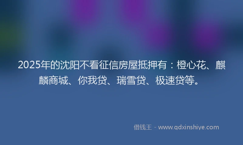 2025年的沈阳不看征信房屋抵押有：橙心花、麒麟商城、你我贷、瑞雪贷、极速贷等。