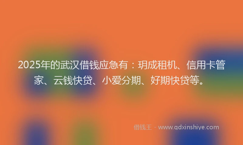 2025年的武汉借钱应急有：玥成租机、信用卡管家、云钱快贷、小爱分期、好期快贷等。