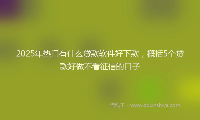2025年热门有什么贷款软件好下款，概括5个贷款好做不看征信的口子