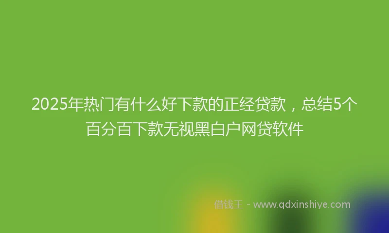 2025年热门有什么好下款的正经贷款，总结5个百分百下款无视黑白户网贷软件