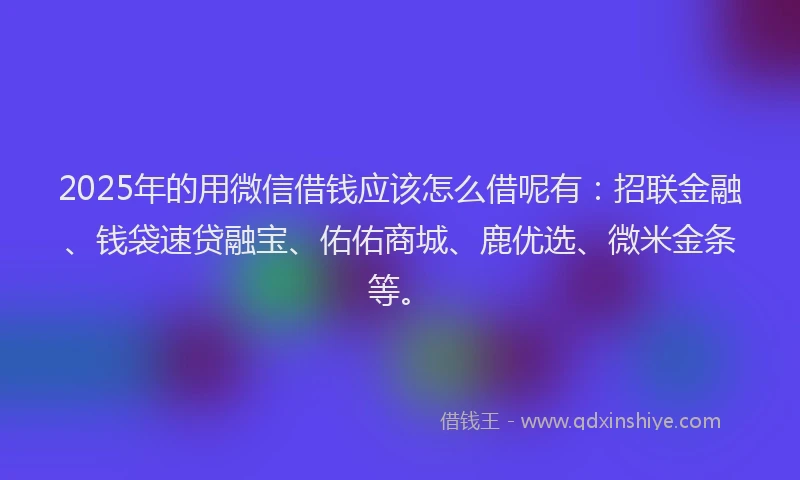 2025年的用微信借钱应该怎么借呢有：招联金融、钱袋速贷融宝、佑佑商城、鹿优选、微米金条等。