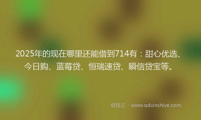 2025年的现在哪里还能借到714有：甜心优选、今日购、蓝莓贷、恒瑞速贷、瞬信贷宝等。