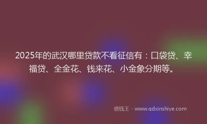 2025年的武汉哪里贷款不看征信有：口袋贷、幸福贷、全金花、钱来花、小金象分期等。