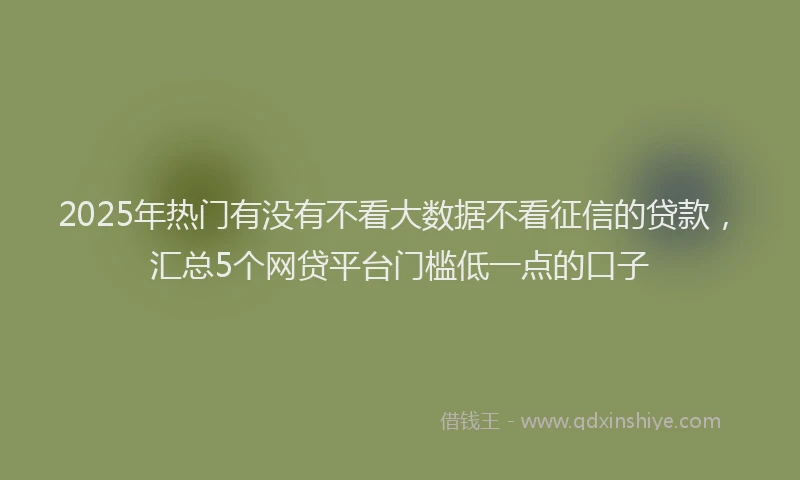 2025年热门有没有不看大数据不看征信的贷款，汇总5个网贷平台门槛低一点的口子