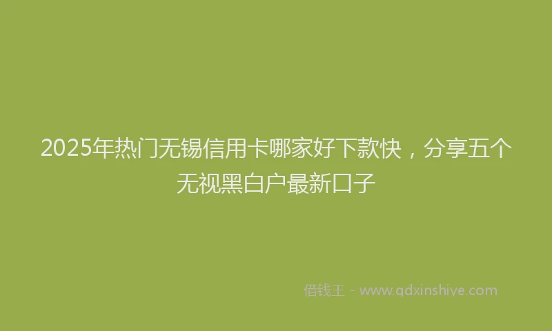 2025年热门无锡信用卡哪家好下款快，分享五个无视黑白户最新口子